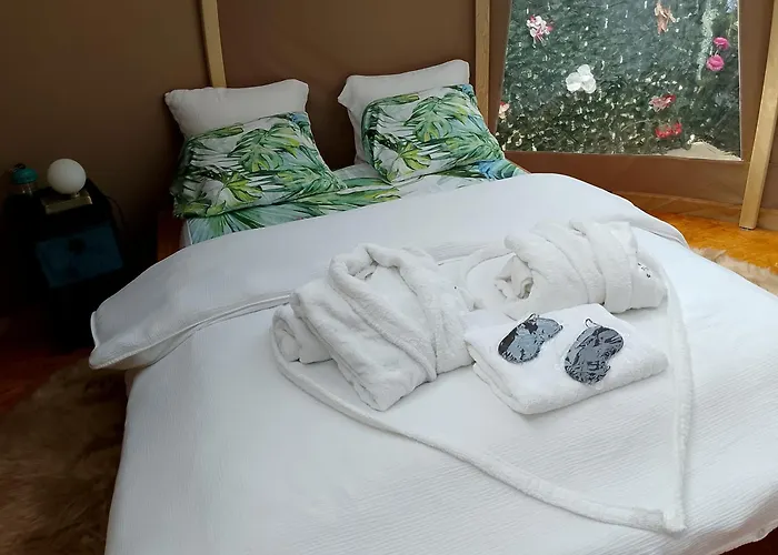 Glamping Dome